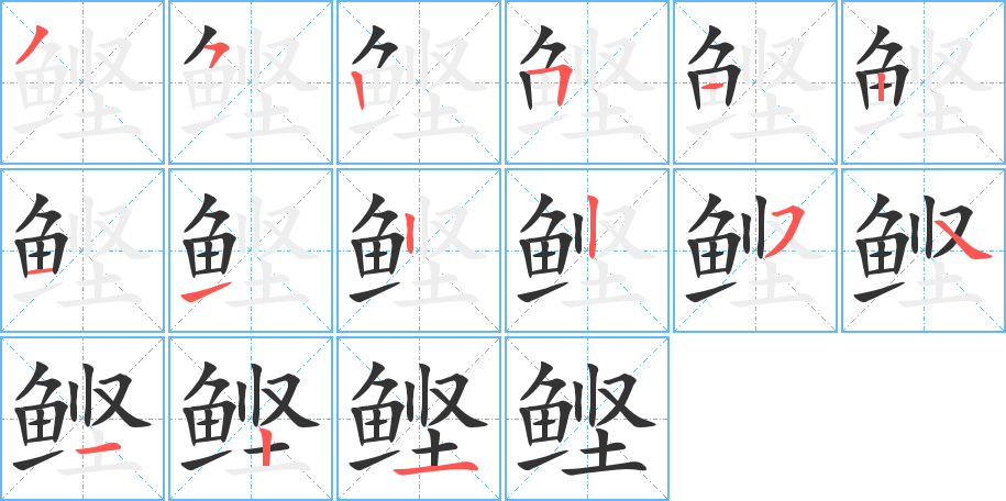 鲣字的笔顺分布演示