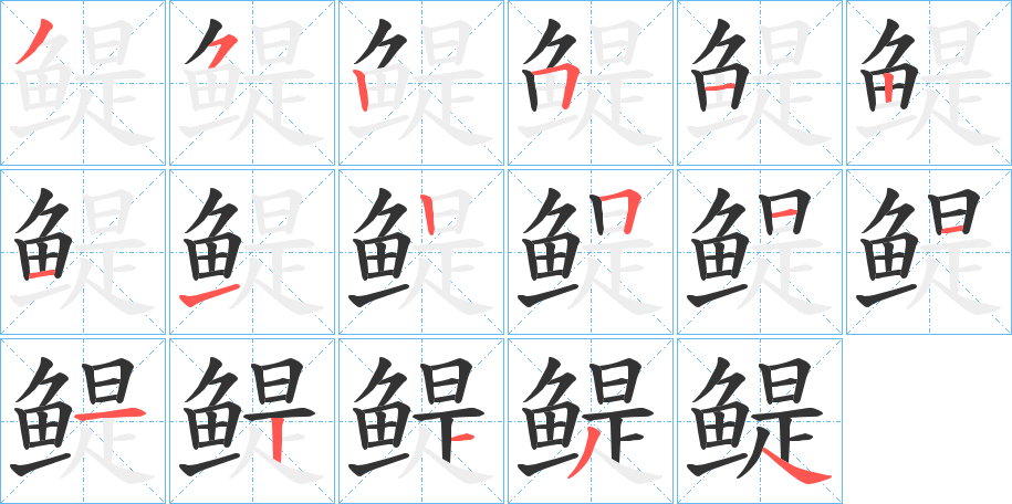 鳀字的笔顺分布演示