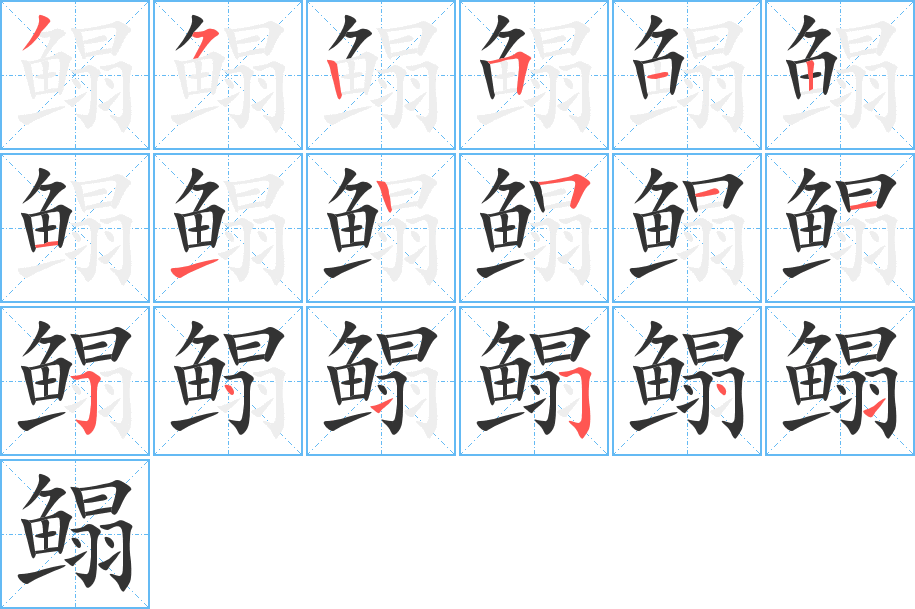 鳎字的笔顺分布演示