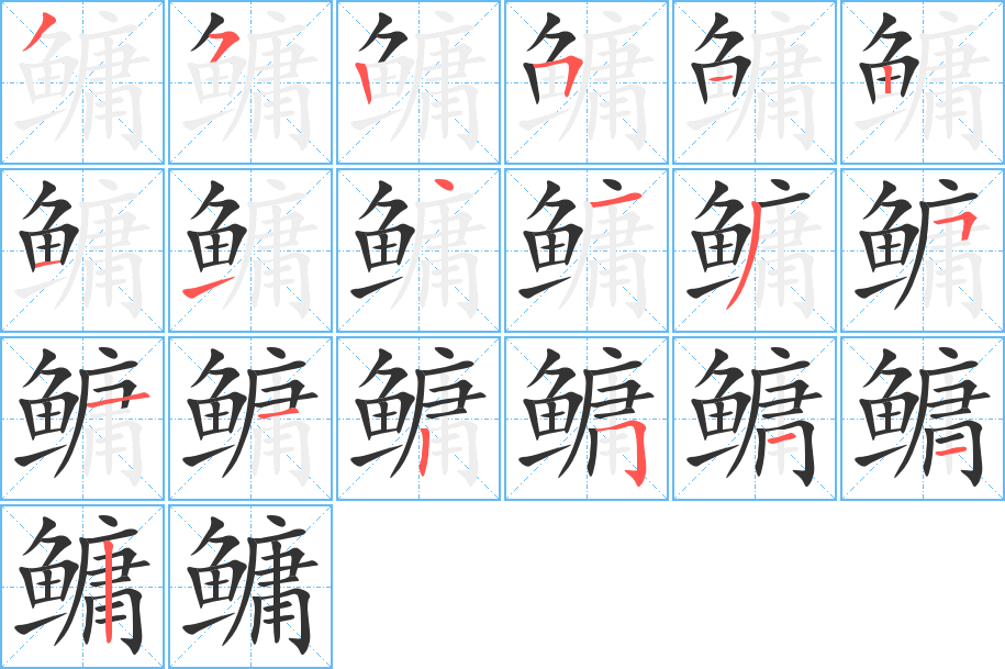 鳙字的笔顺分布演示