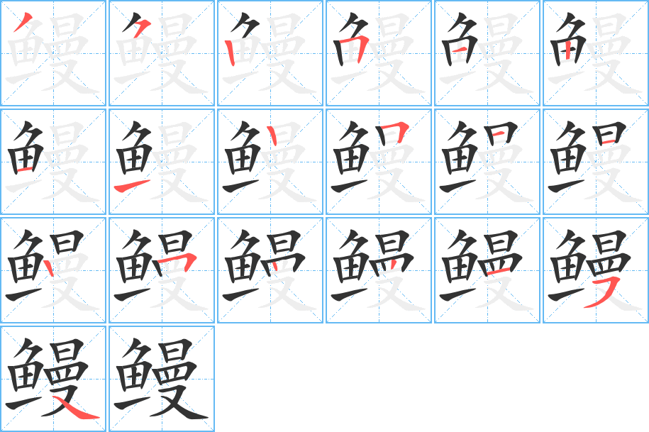 鳗字的笔顺分布演示