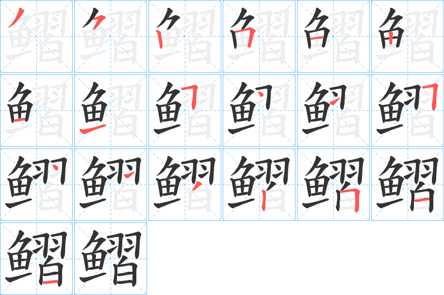 鳛字的笔顺分布演示