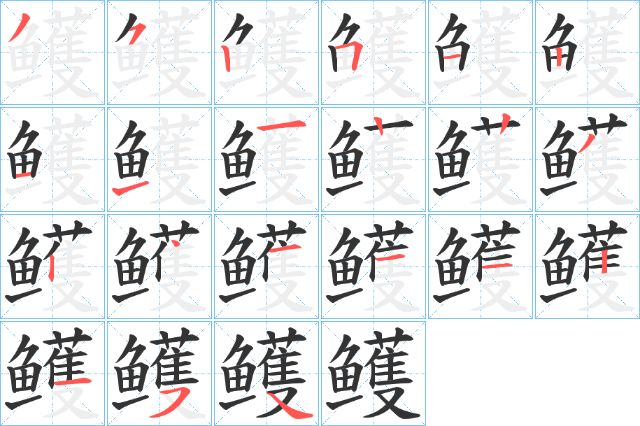 鳠字的笔顺分布演示