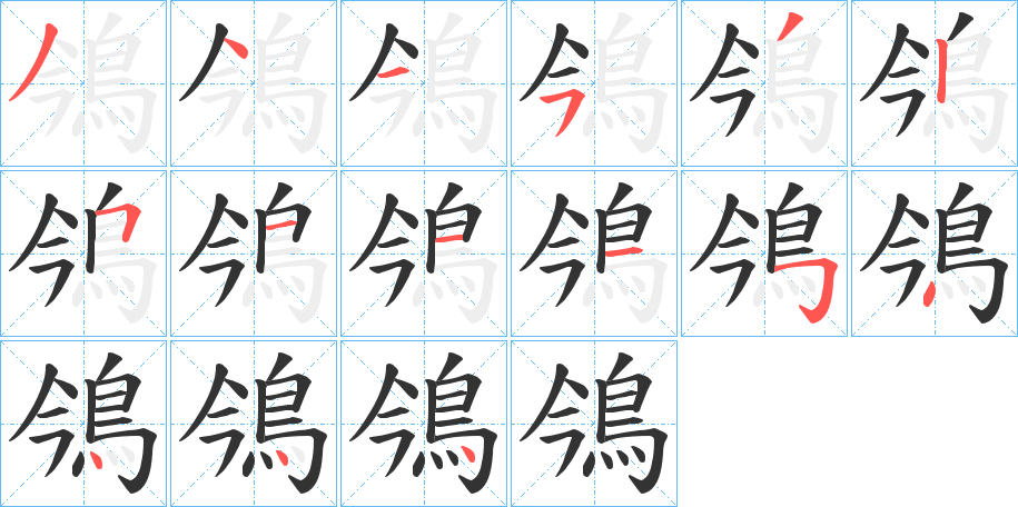 鳹字的笔顺分布演示