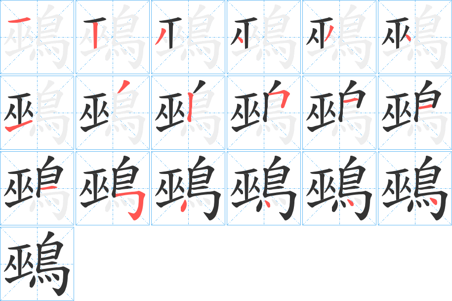 鵐字的笔顺分布演示