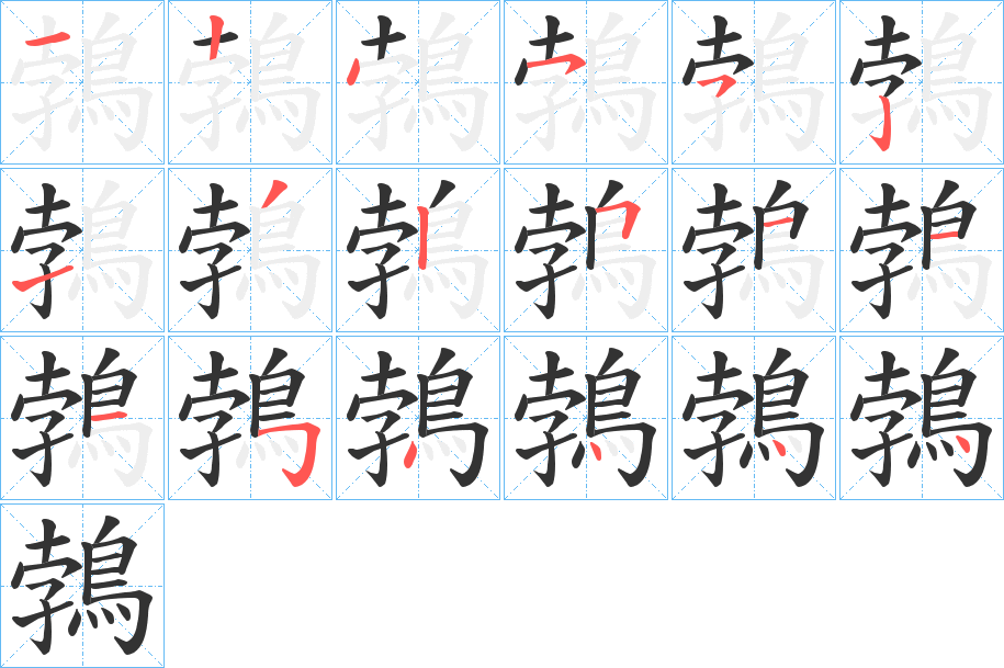 鵓字的笔顺分布演示