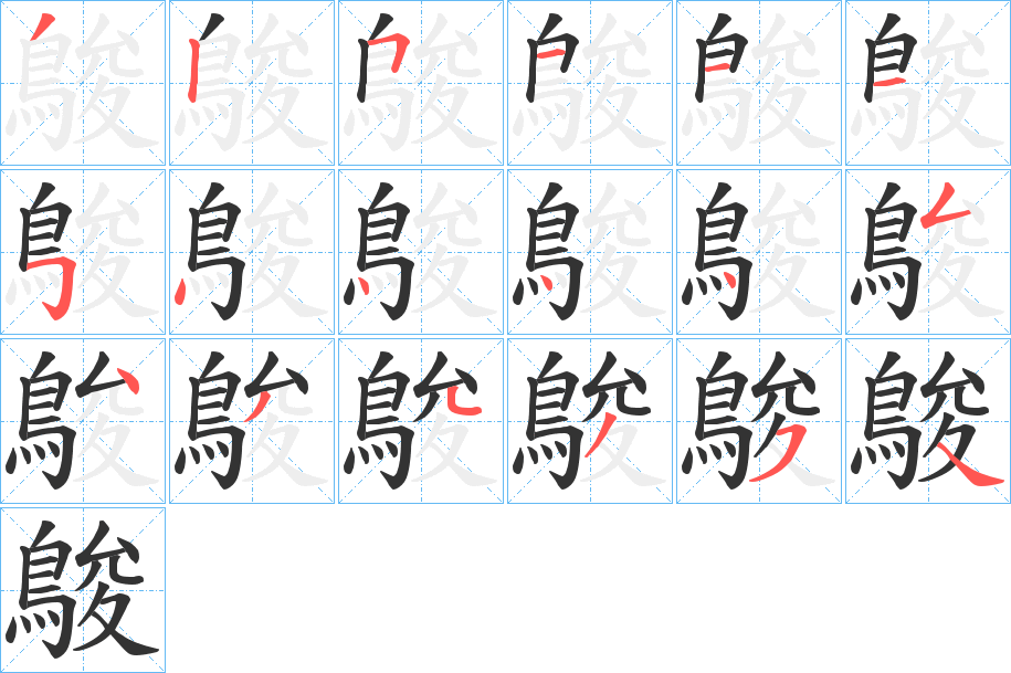 鵔字的笔顺分布演示