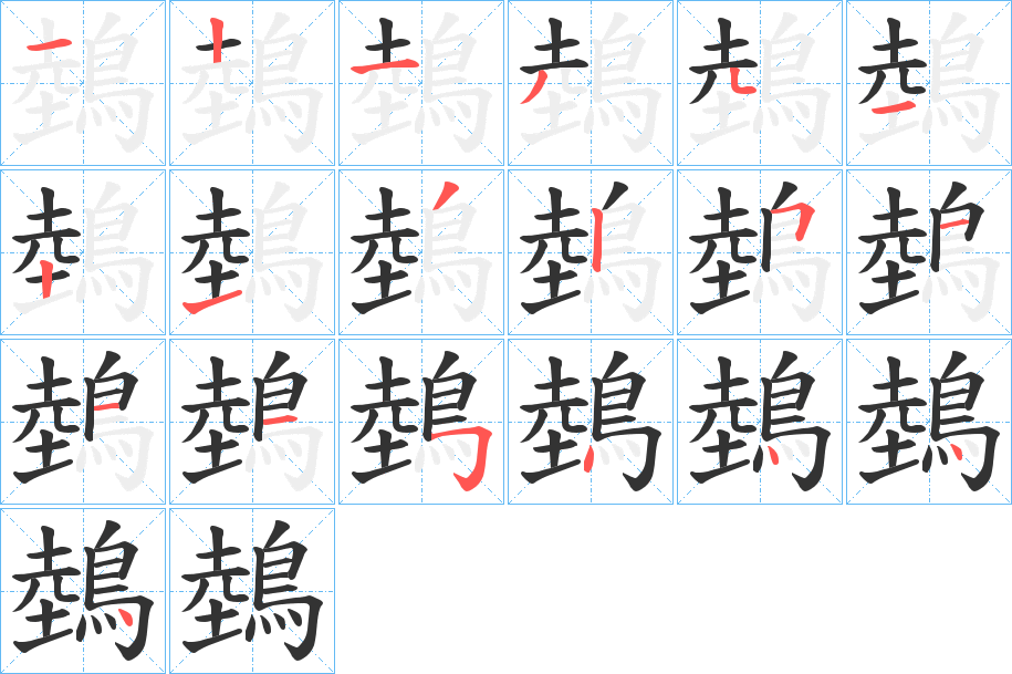 鵱字的笔顺分布演示