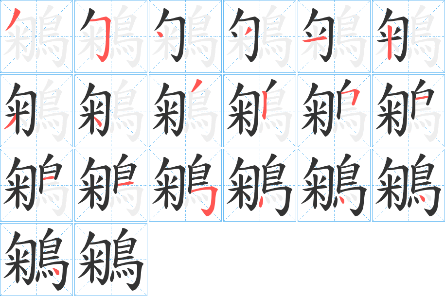 鵴字的笔顺分布演示