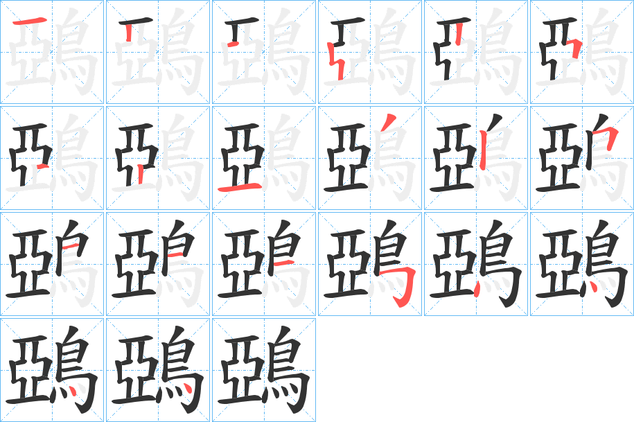 鵶字的笔顺分布演示