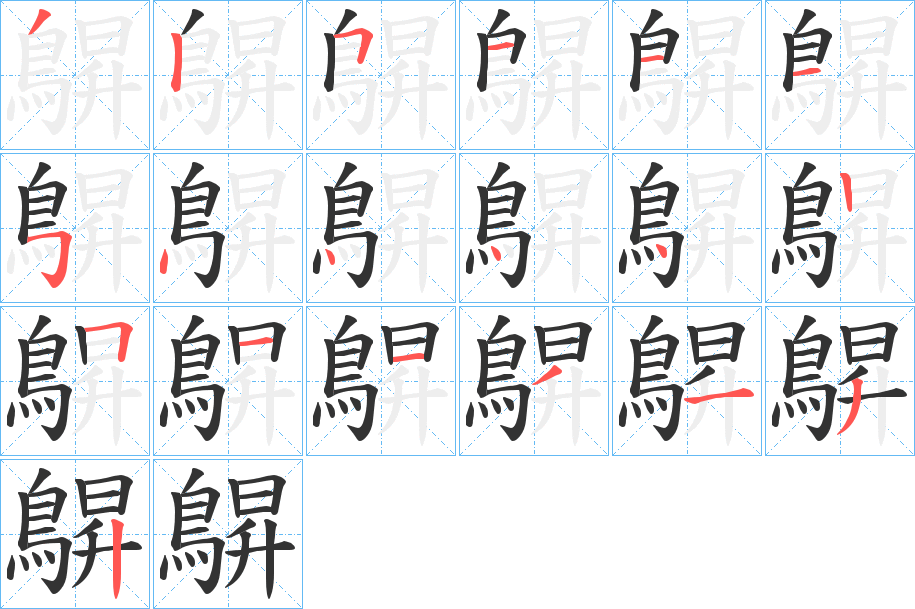 鵿字的笔顺分布演示