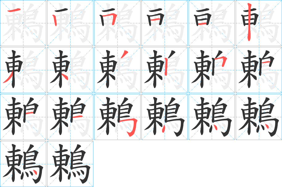 鶇字的笔顺分布演示