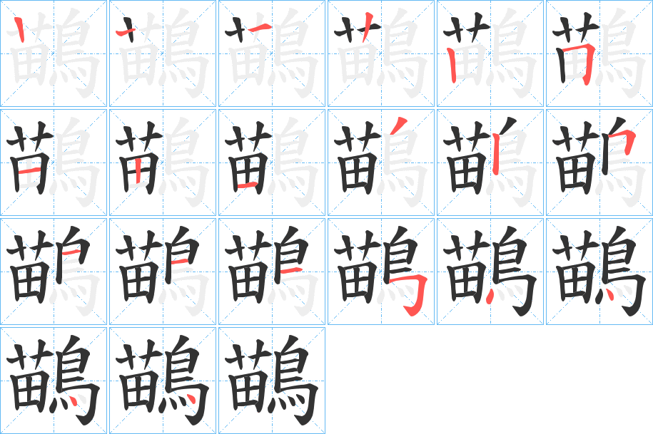 鶓字的笔顺分布演示