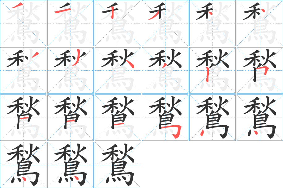 鶖字的笔顺分布演示