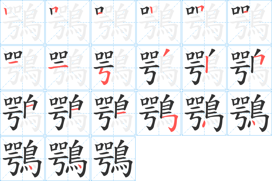 鶚字的笔顺分布演示