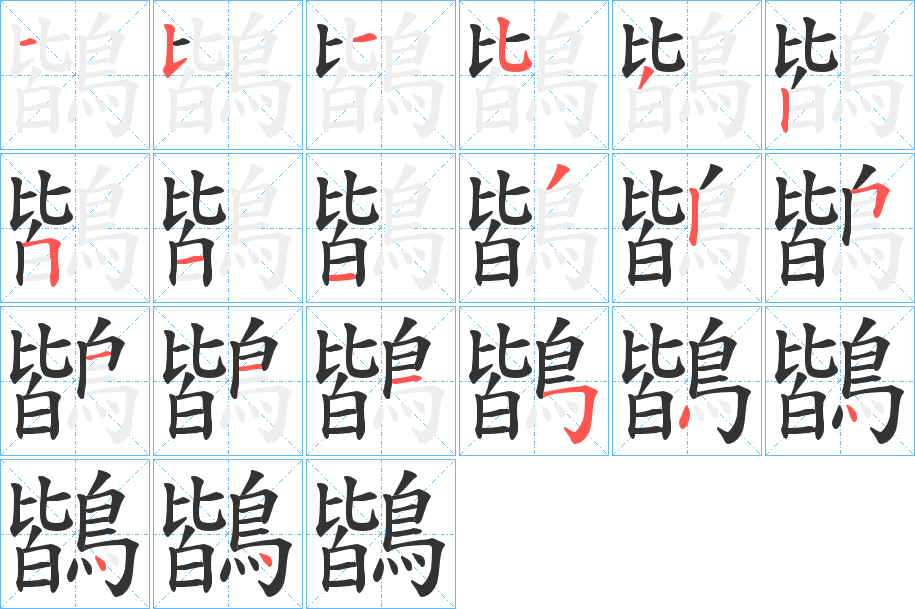 鶛字的笔顺分布演示