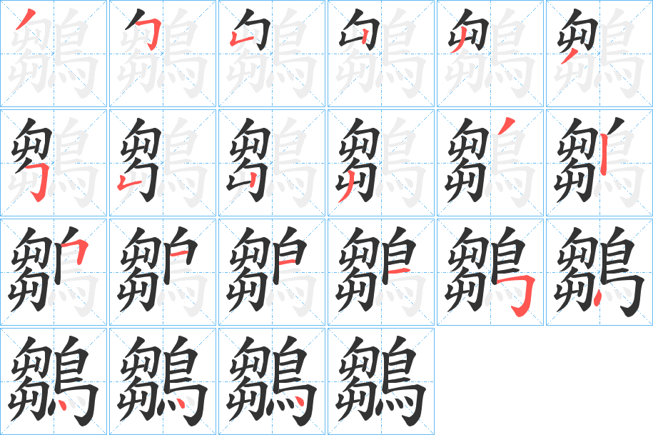 鶵字的笔顺分布演示