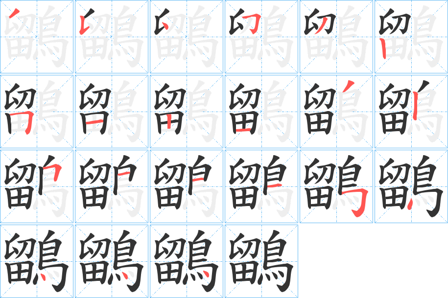 鶹字的笔顺分布演示