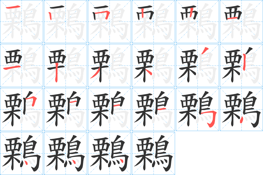 鷅字的笔顺分布演示