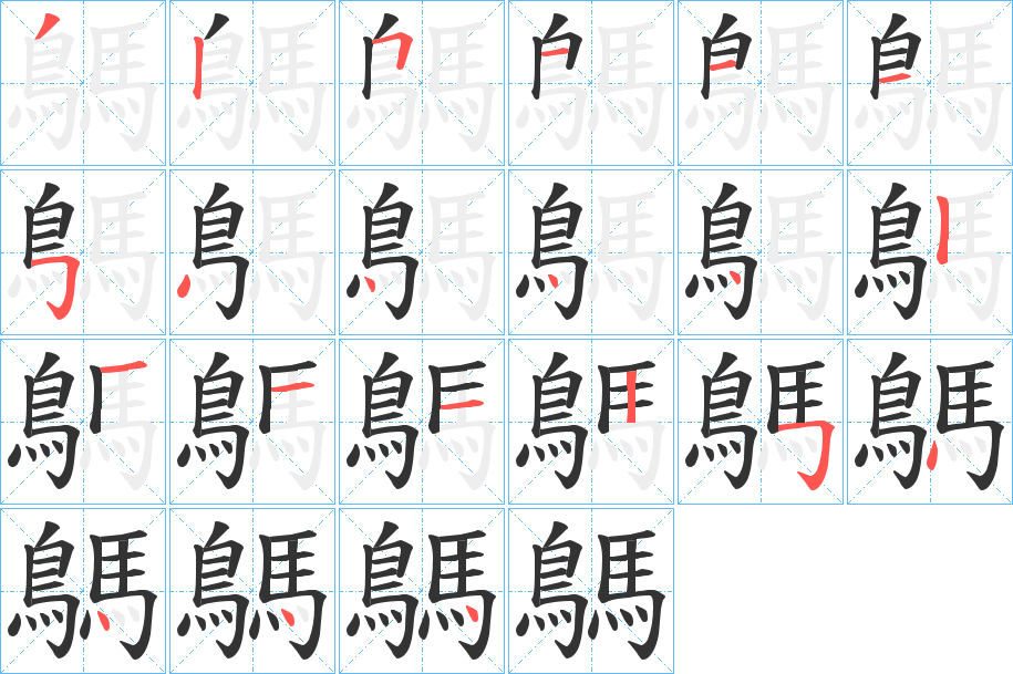 鷌字的笔顺分布演示