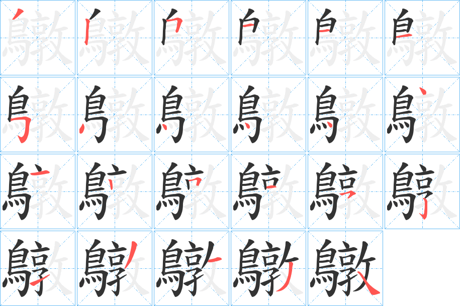 鷻字的笔顺分布演示