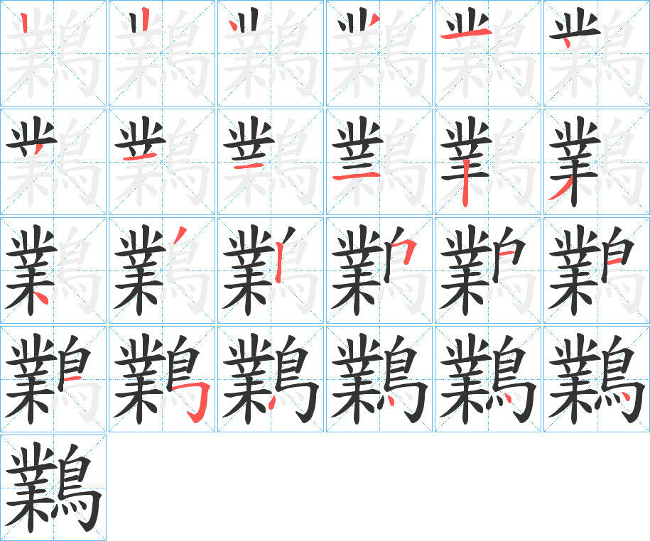 鸈字的笔顺分布演示