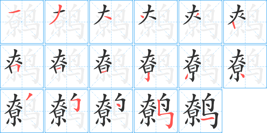 鹩字的笔顺分布演示